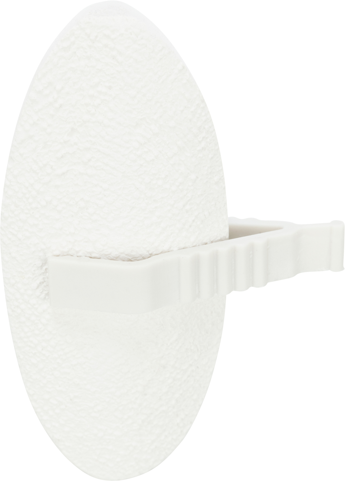 Calcium-Stein mit Sepia