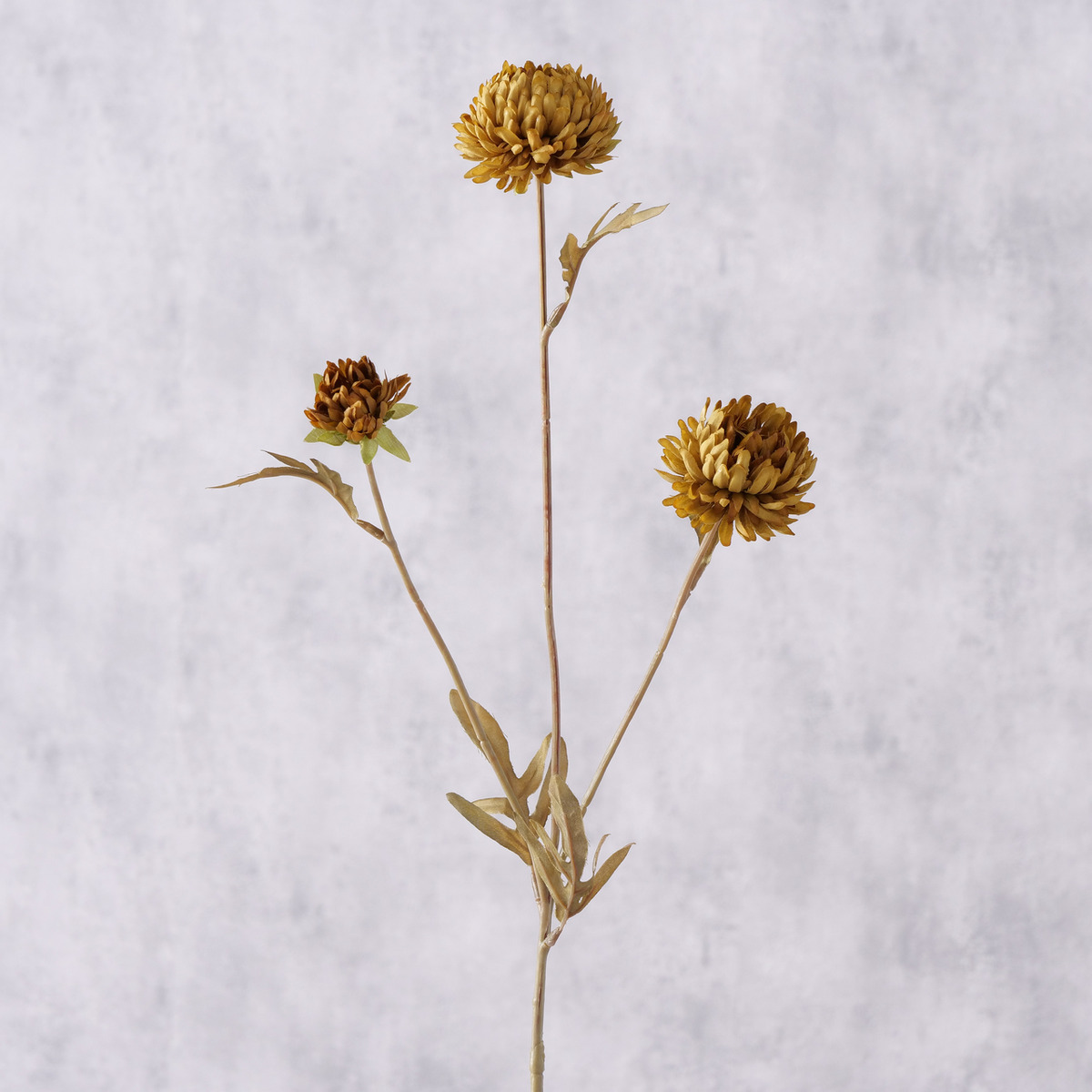 Stielblume Dahlie bei leitermann.de günstig kaufen Stielblume Dahlie