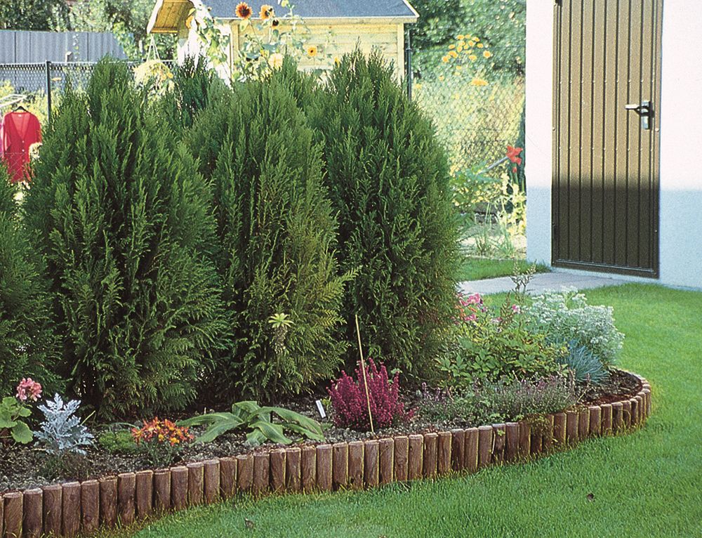 Beetbegrenzung Beetrolli, kdi-grün bei leitermann.de günstig kaufen Beetbegrenzung Beetrolli, kdi-grün