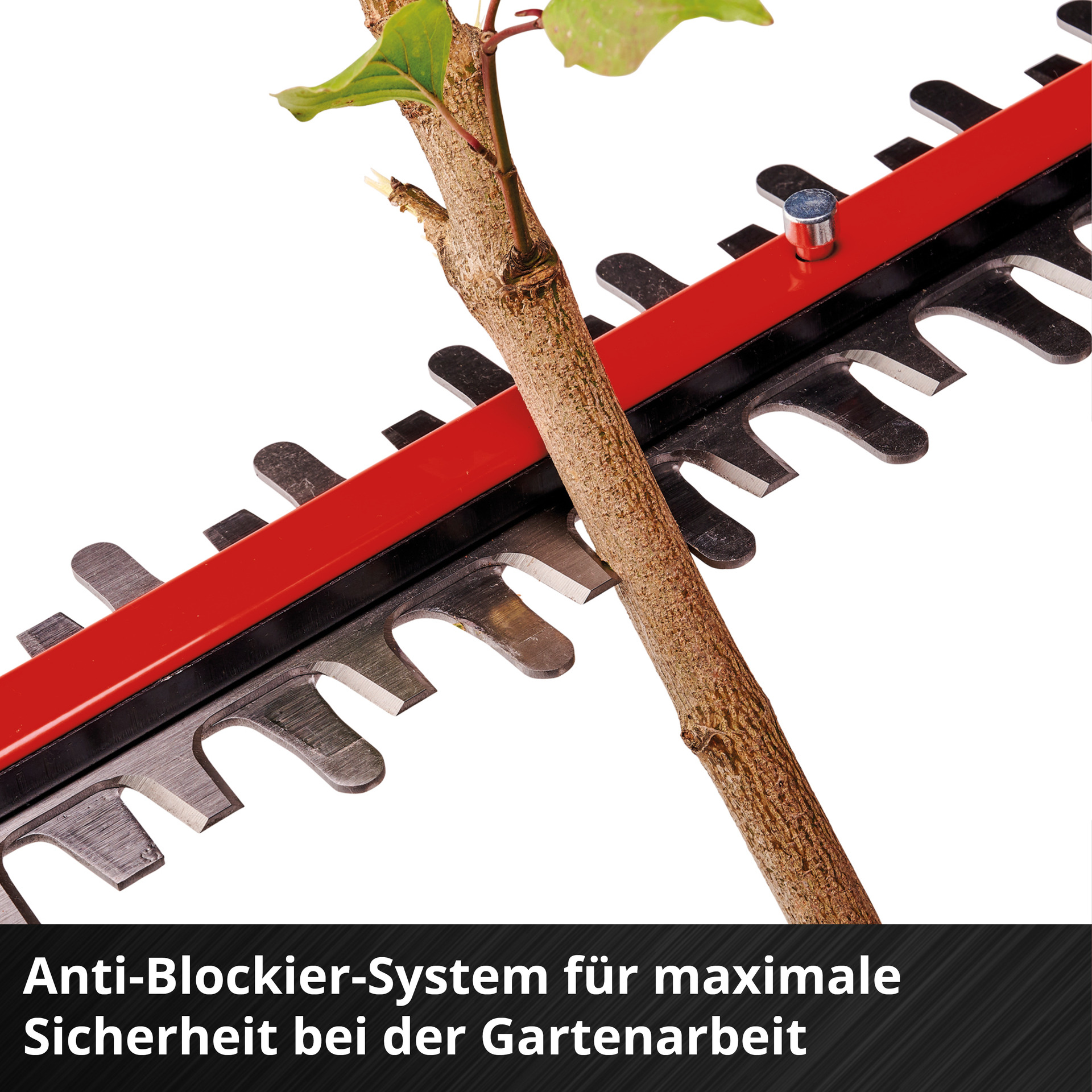 Akku-Heckenschere GP-CH 18/50 Li BL-Solo