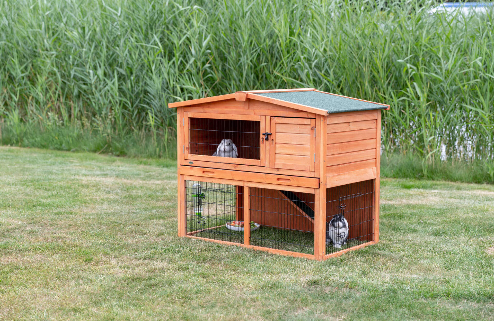 Kleintierstall mit Freilaufgehege bei leitermann.de günstig kaufen Kleintierstall mit Freilaufgehege