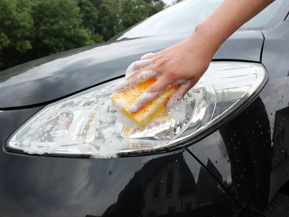 Insektenschwamm bei leitermann.de günstig kaufen Insektenschwamm