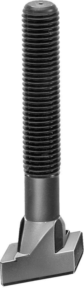 EDE – Amf Rhombusschraube M16x18x100mm AMF