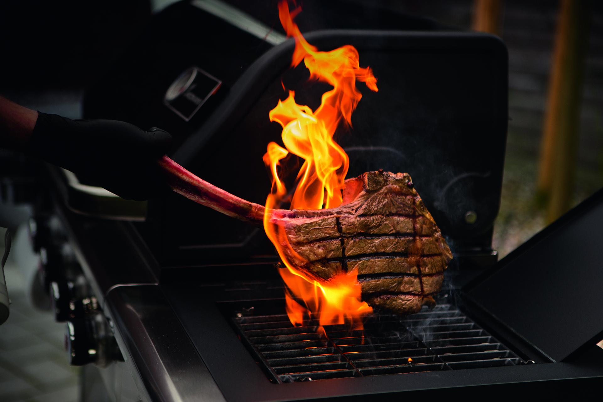 Gasgrillwagen Triton Pts 4,1 Maxx