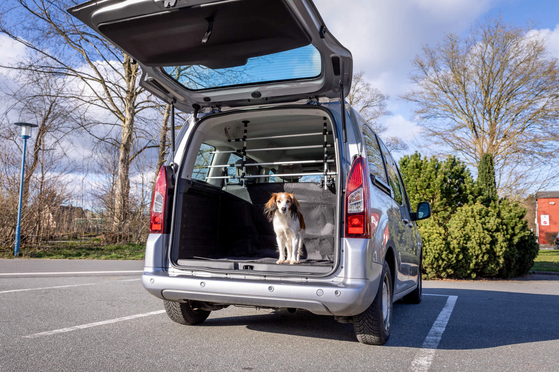 Auto-Gitter bei leitermann.de günstig kaufen Auto-Gitter