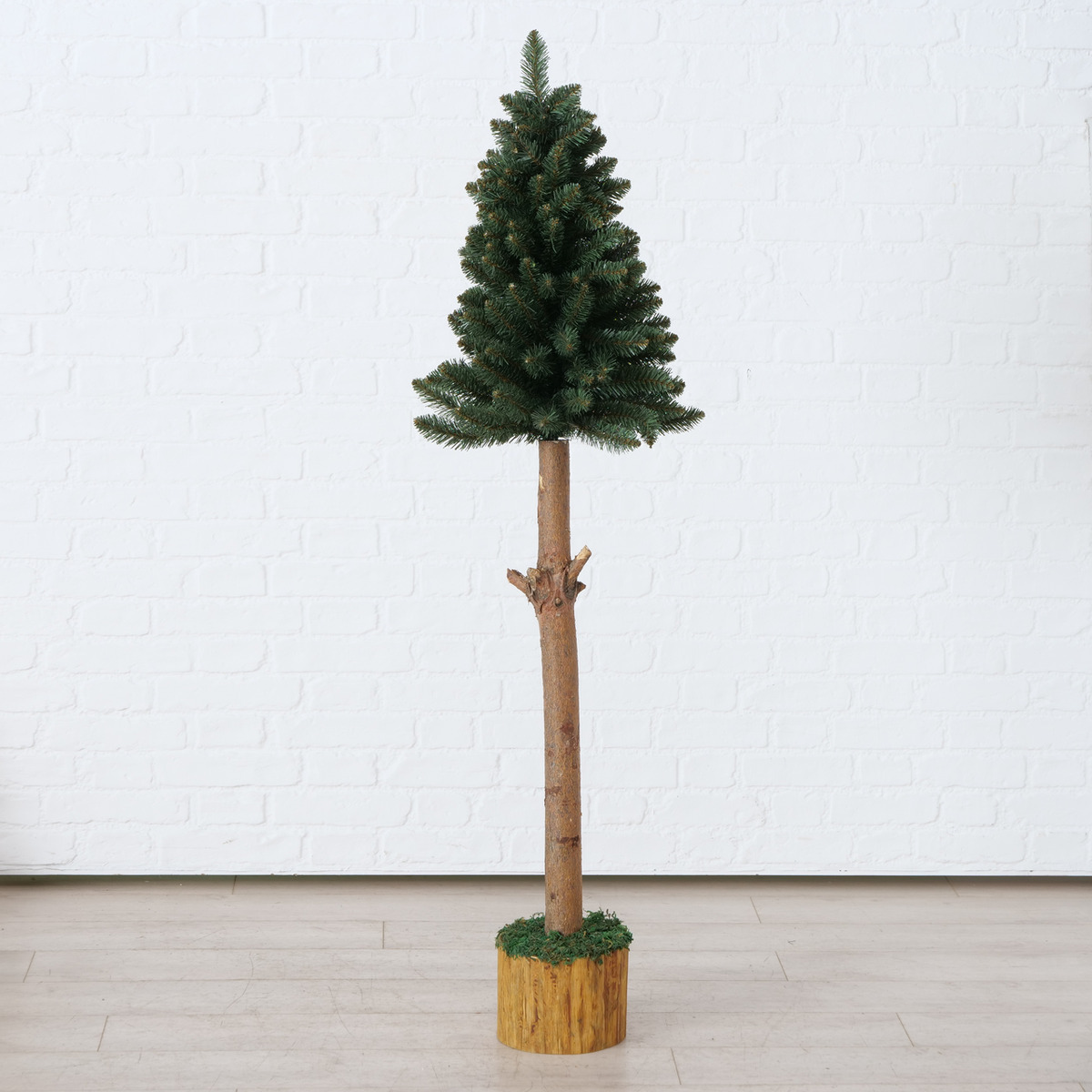 Weihnachtsbaum Jakub bei leitermann.de günstig kaufen Weihnachtsbaum Jakub