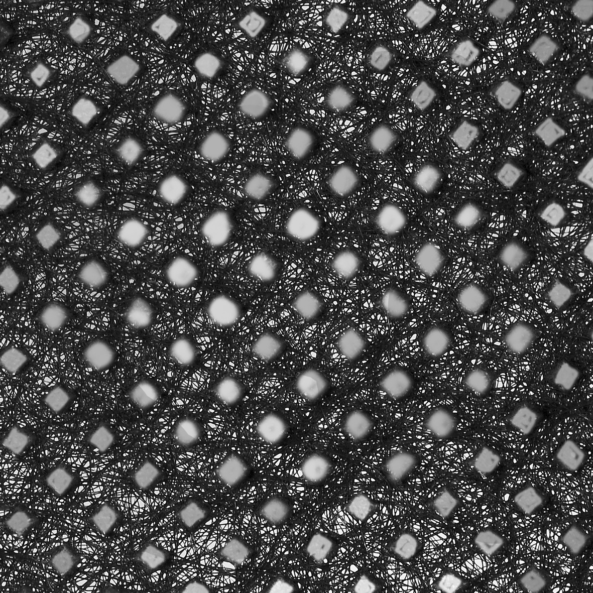 Unkraut-Vlies schwarz bei leitermann.de günstig kaufen Unkraut-Vlies schwarz