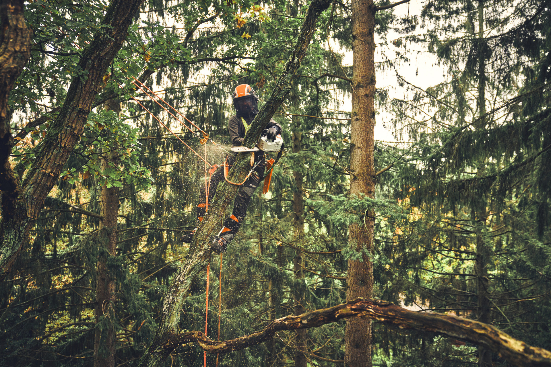 Akku-Kettensäge MSA 220