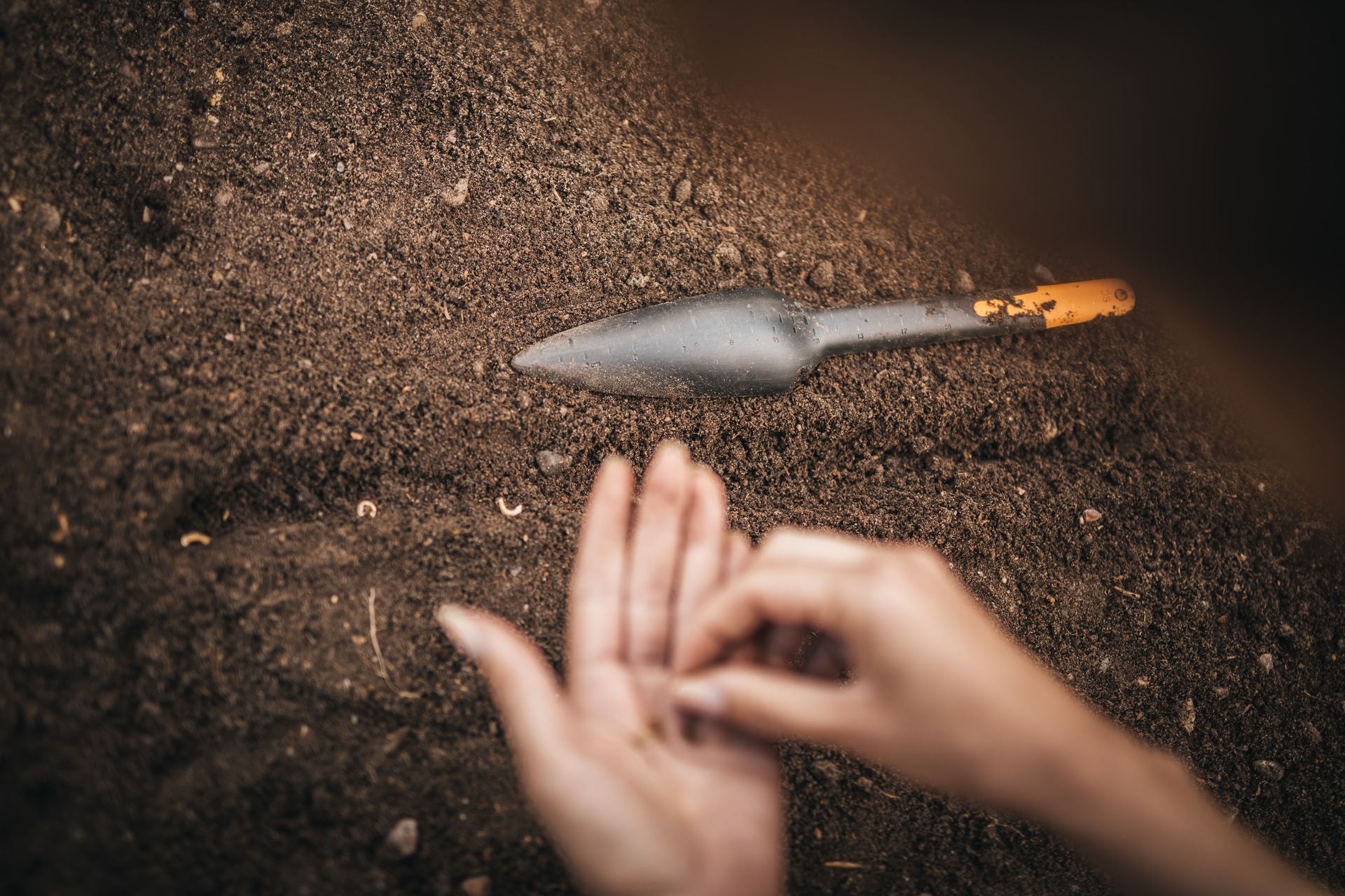 Solid Saatgut-Pflanzenkelle bei leitermann.de günstig kaufen Solid Saatgut-Pflanzenkelle
