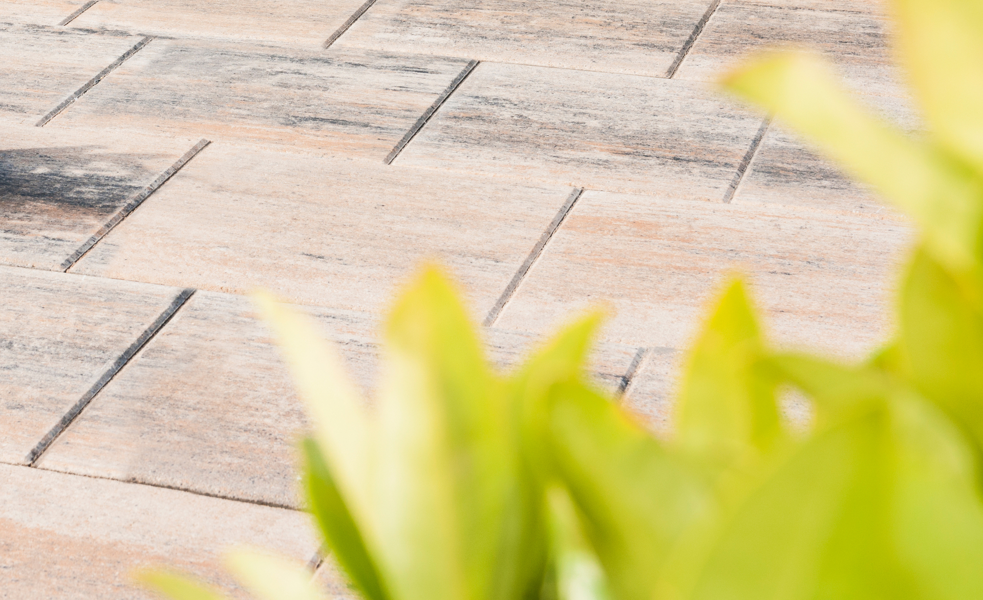 Terrassenplatte Figuera bei leitermann.de günstig kaufen Terrassenplatte Figuera