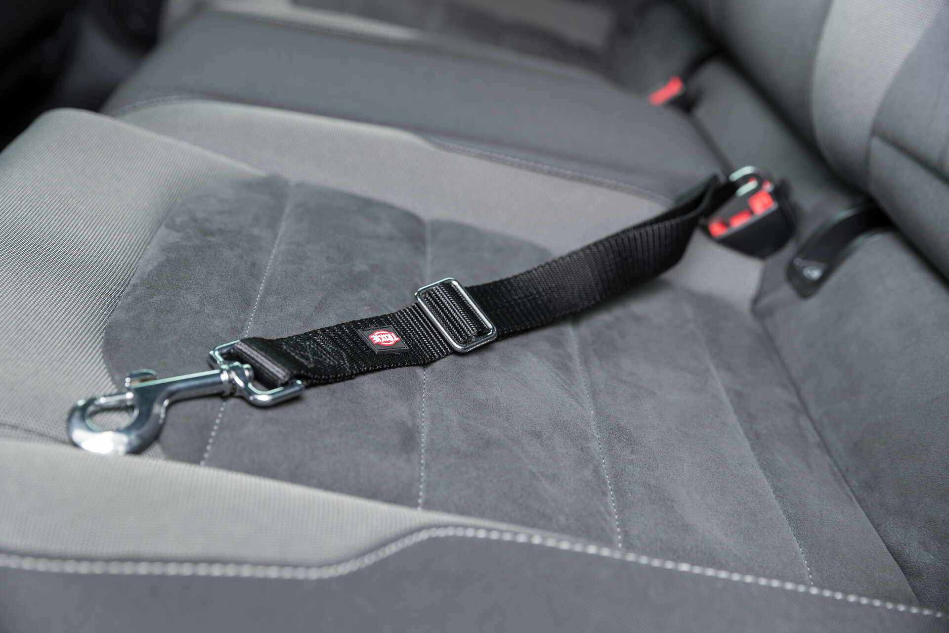 Anschnallgurt bei leitermann.de günstig kaufen Anschnallgurt