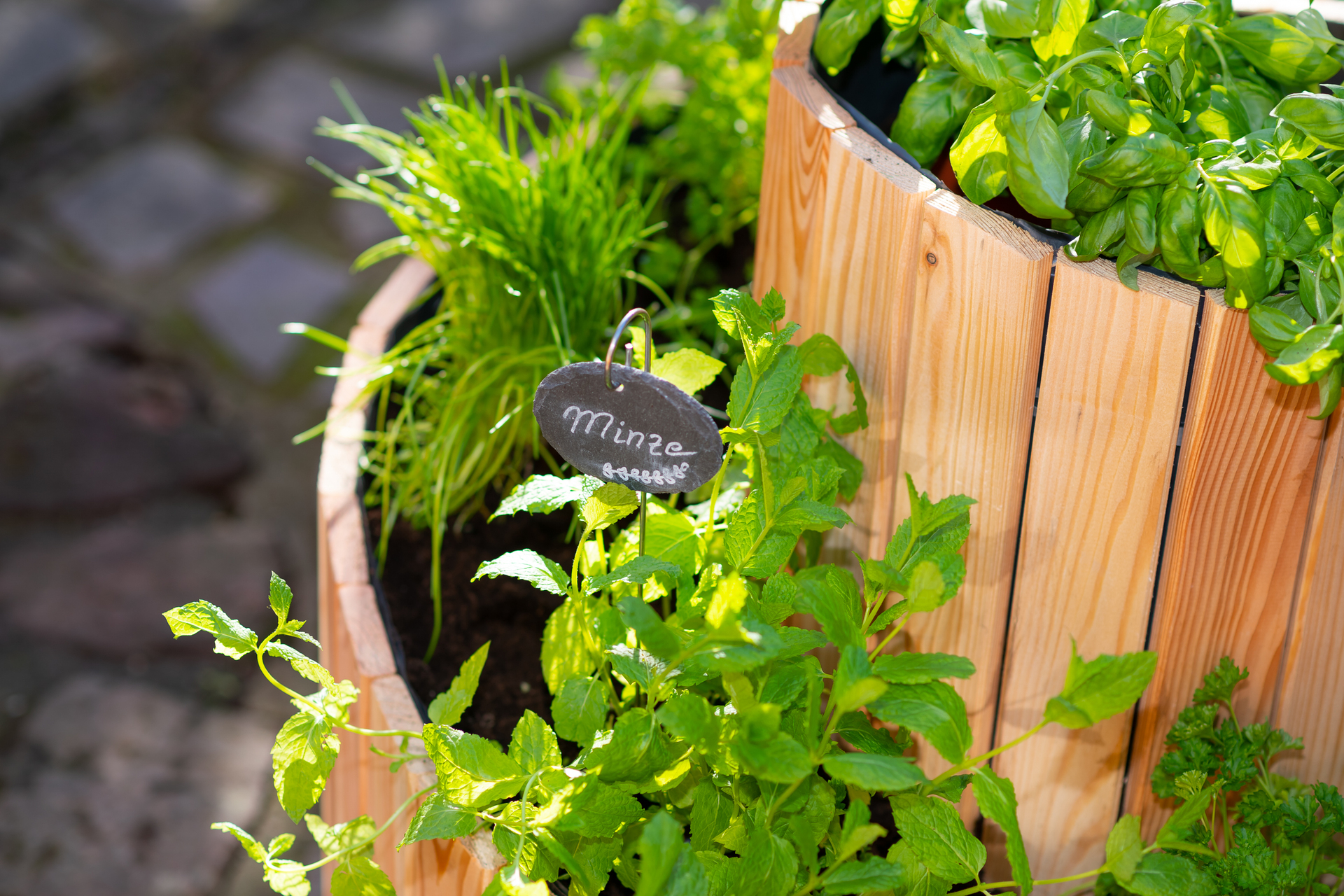 Kräuterspirale Luise bei leitermann.de günstig kaufen Kräuterspirale Luise