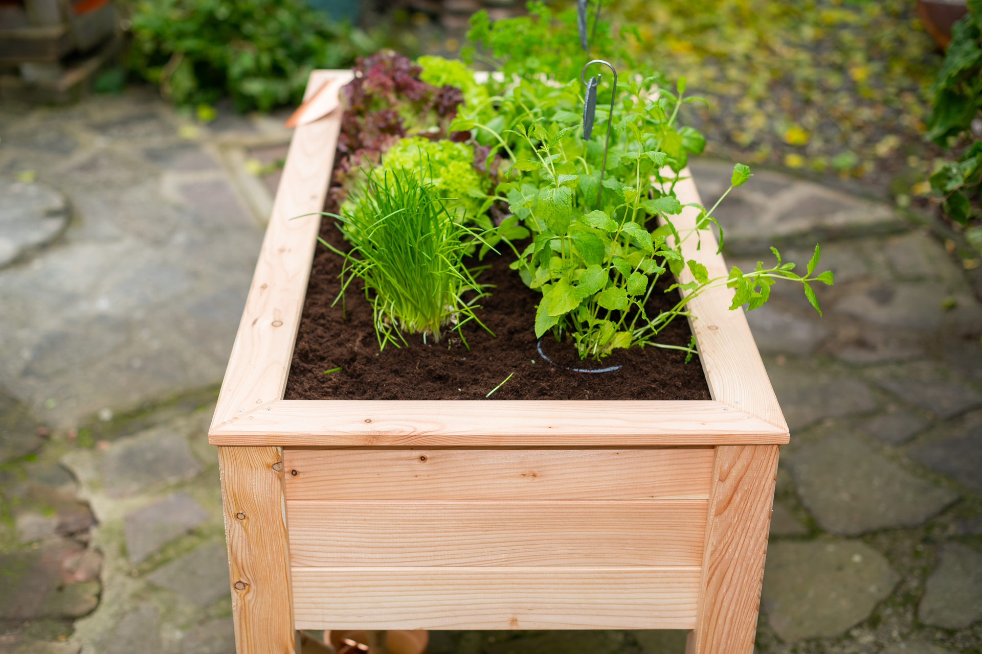Stelzenhochbeet Emily bei leitermann.de günstig kaufen Stelzenhochbeet Emily