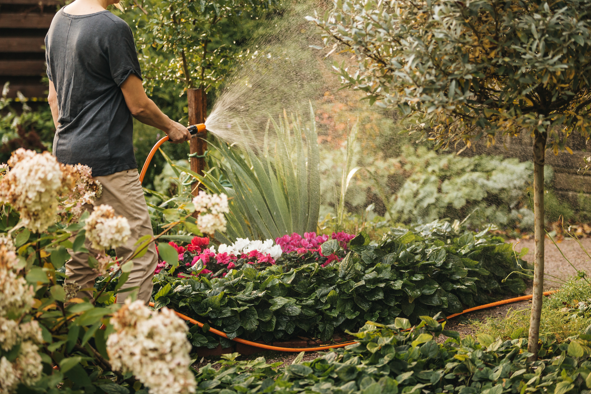 Waterwheel M mit 20 m Schlauch