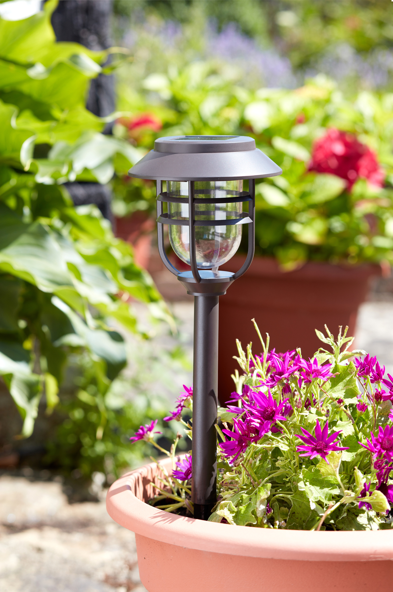 Solarleuchte Avant 5Stk