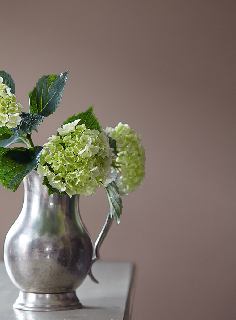 Feine Farben bei leitermann.de günstig kaufen Feine Farben