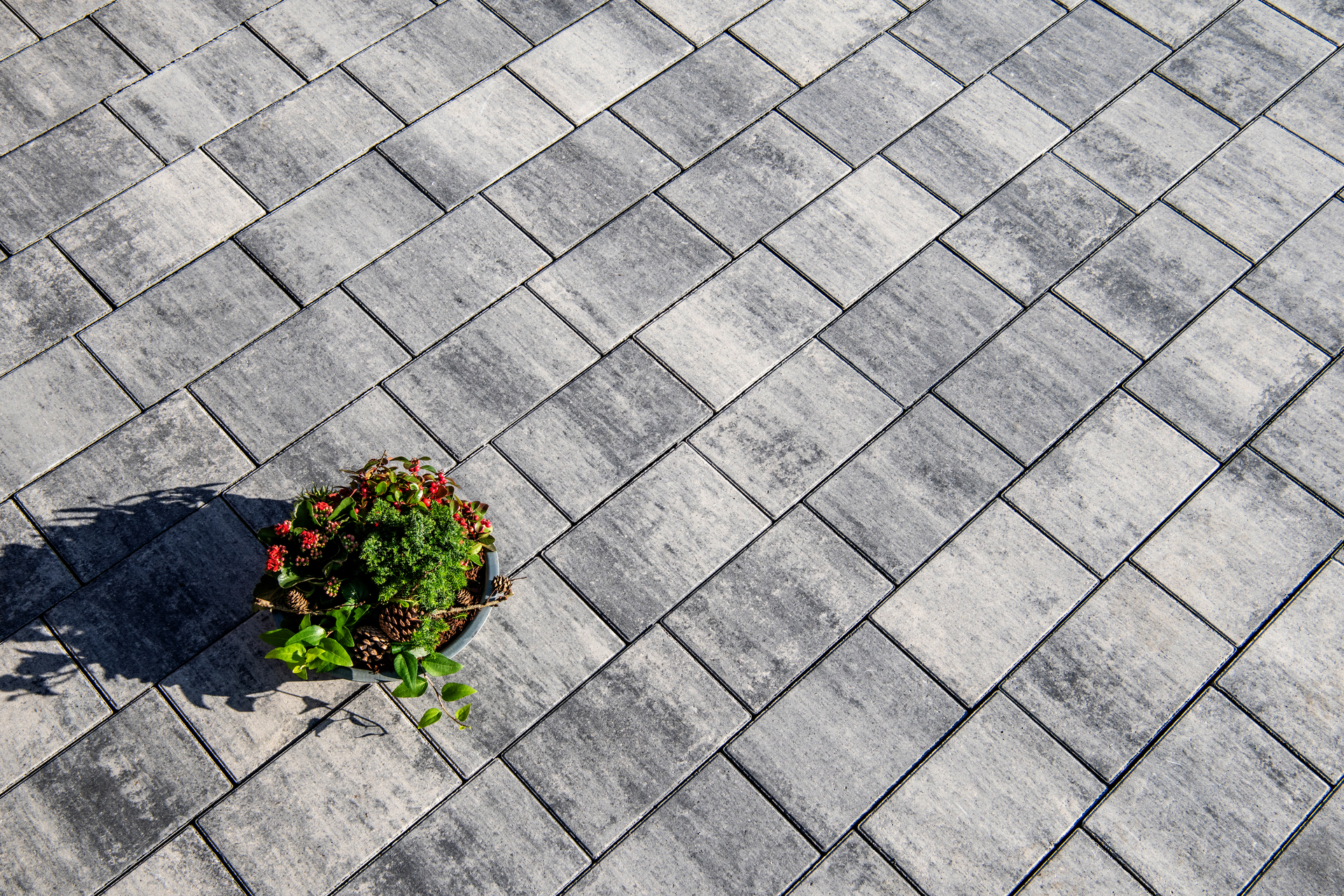 Pflasterstein Ensenada