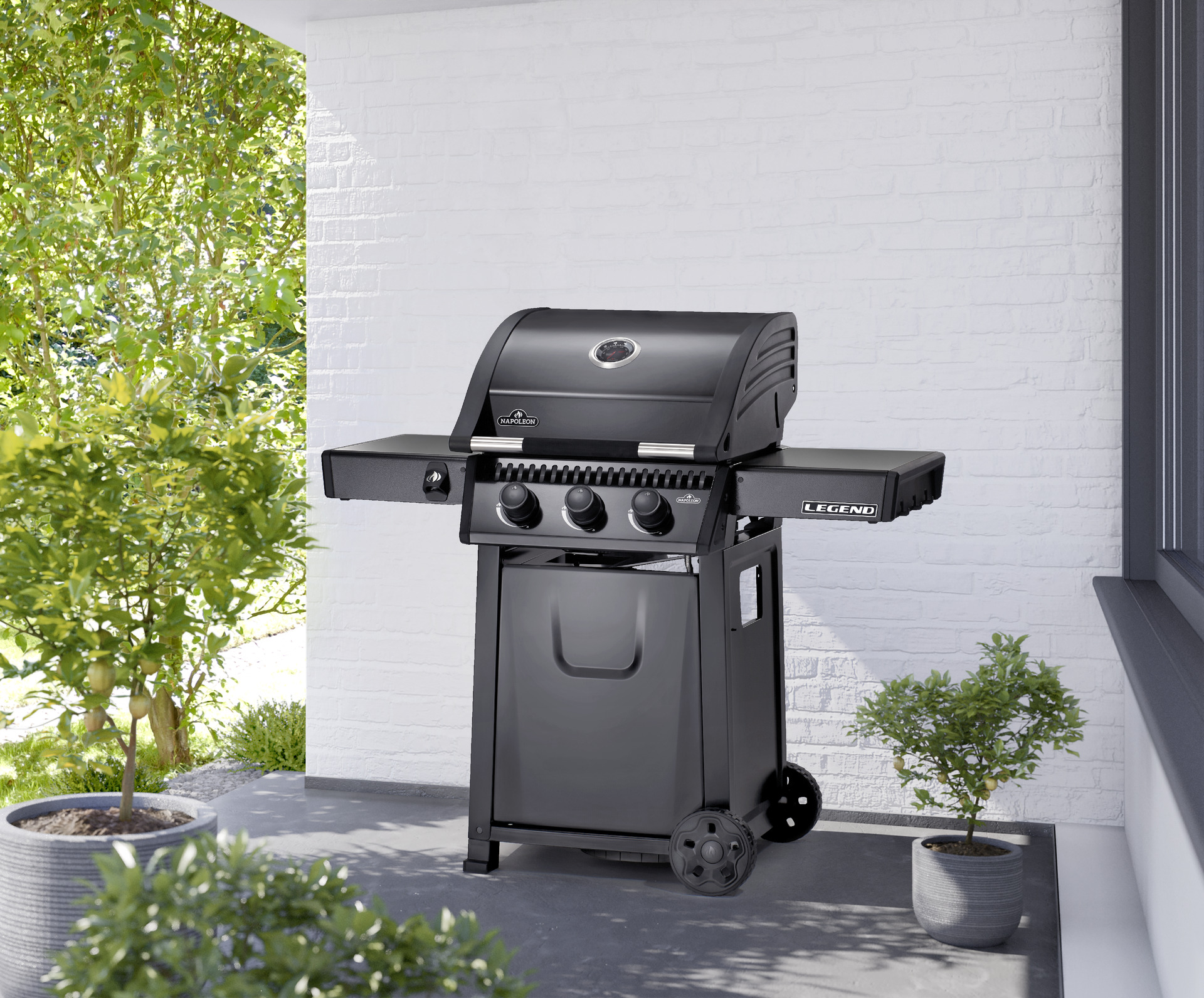 Napoleon Gasgrill Legend 365