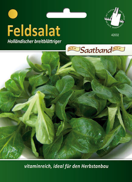 Feldsalat - Holländischer breitblättriger