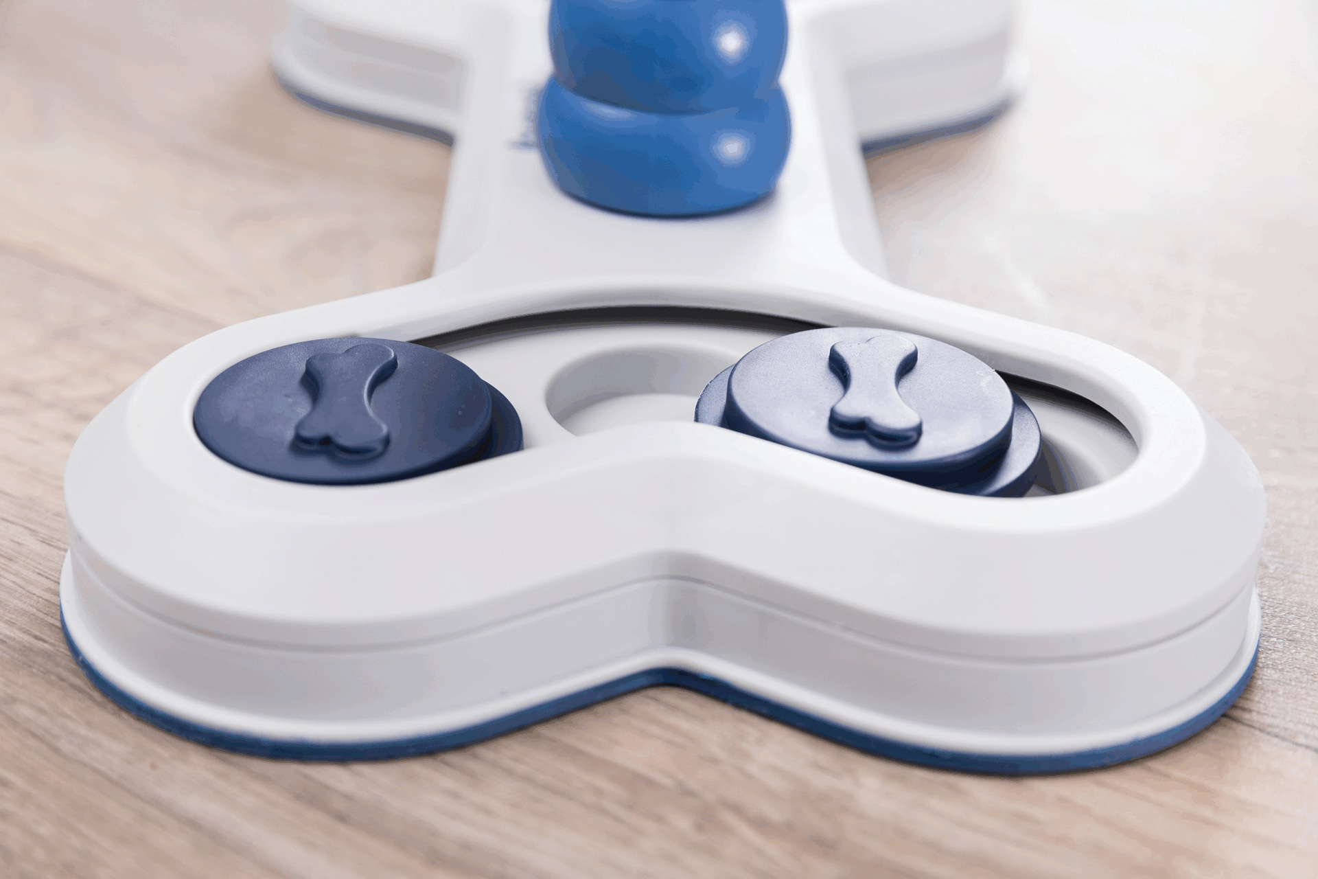 Flip Bone Strategiespiel