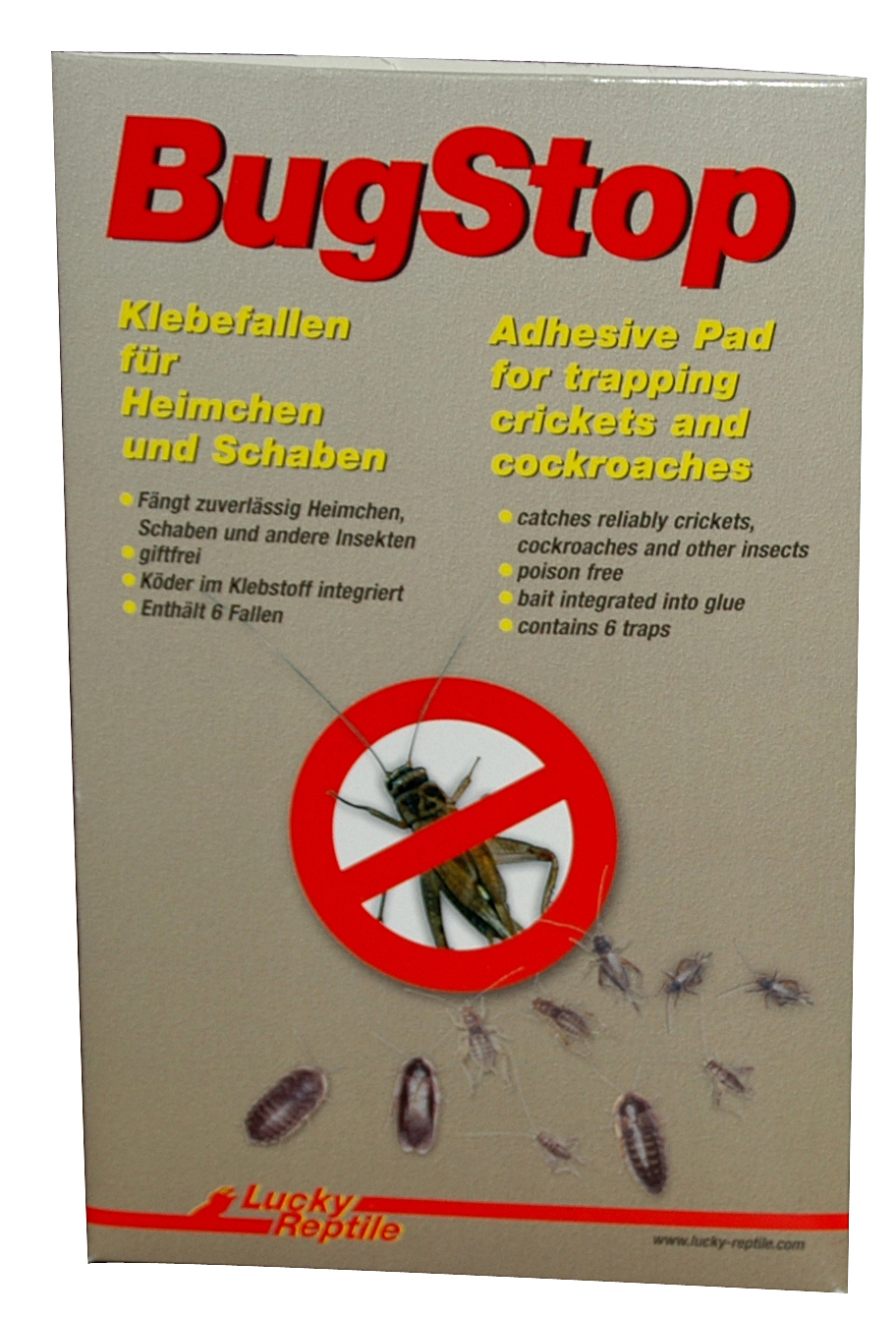 Lucky Reptile Bug Stop – Heimchen Klebefalle