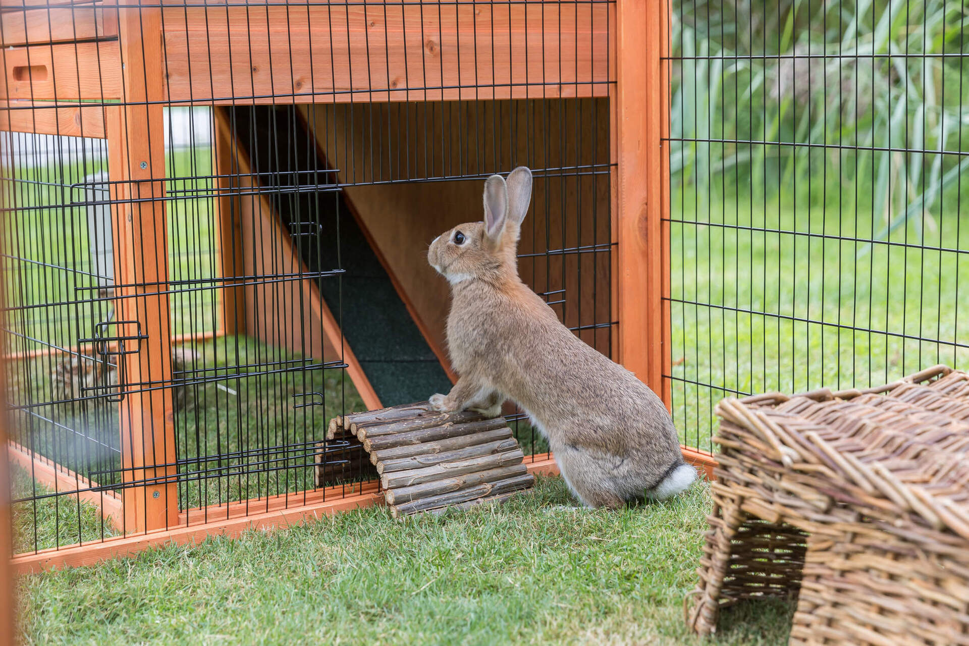 Kleintierstall mit Freilaufgehege bei leitermann.de günstig kaufen Kleintierstall mit Freilaufgehege