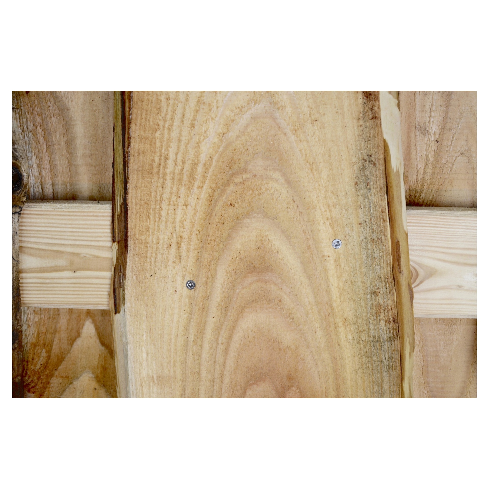 JÜTLAND-Serie Lärche