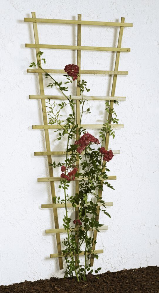 Hagebau Rosenspalier 180cm