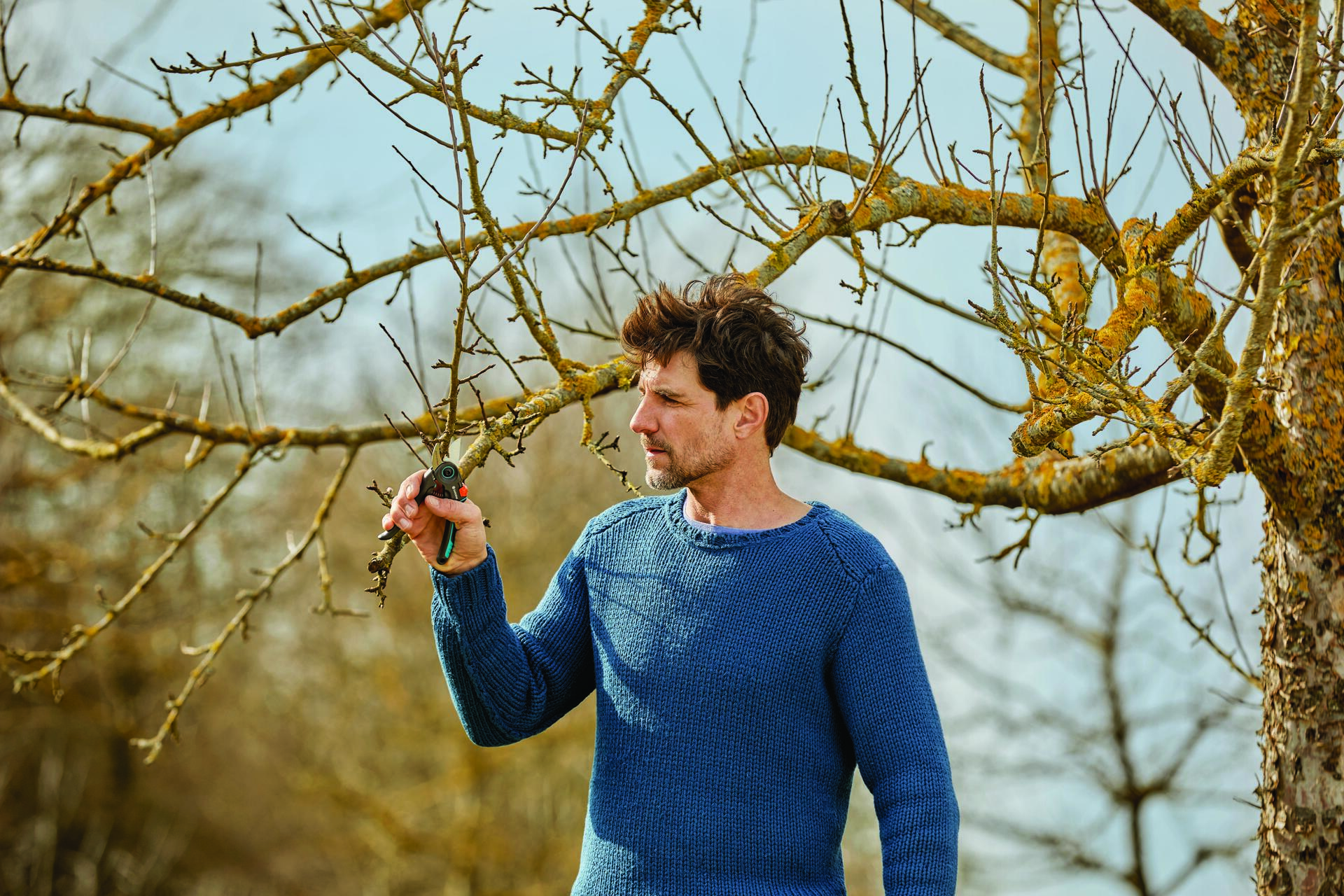 Gartenschere ExpertCut bei leitermann.de günstig kaufen Gartenschere ExpertCut