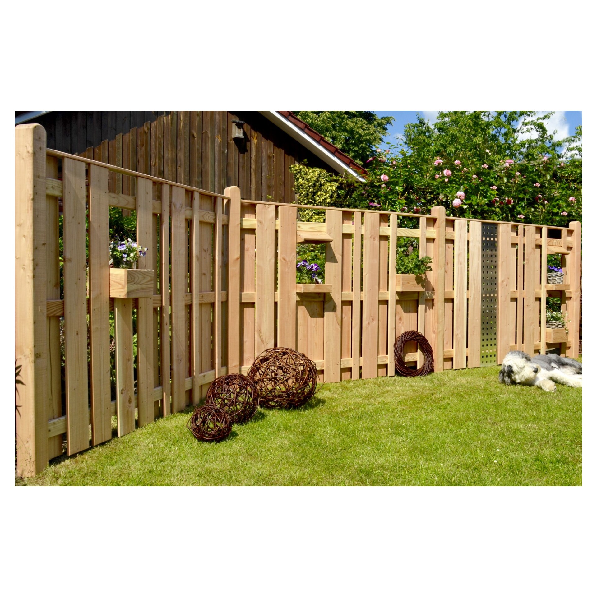 AALBORG-Serie, Lärche