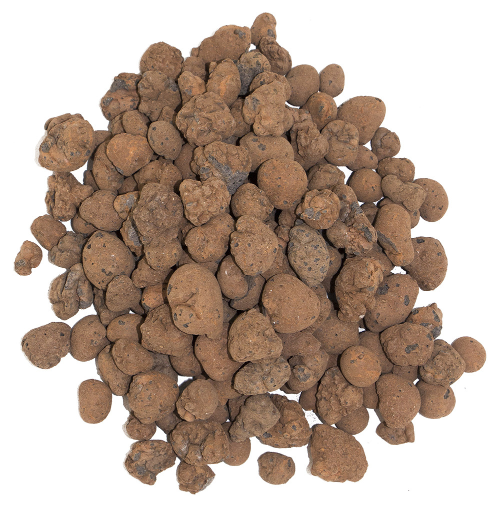 Tongranulat Blähton