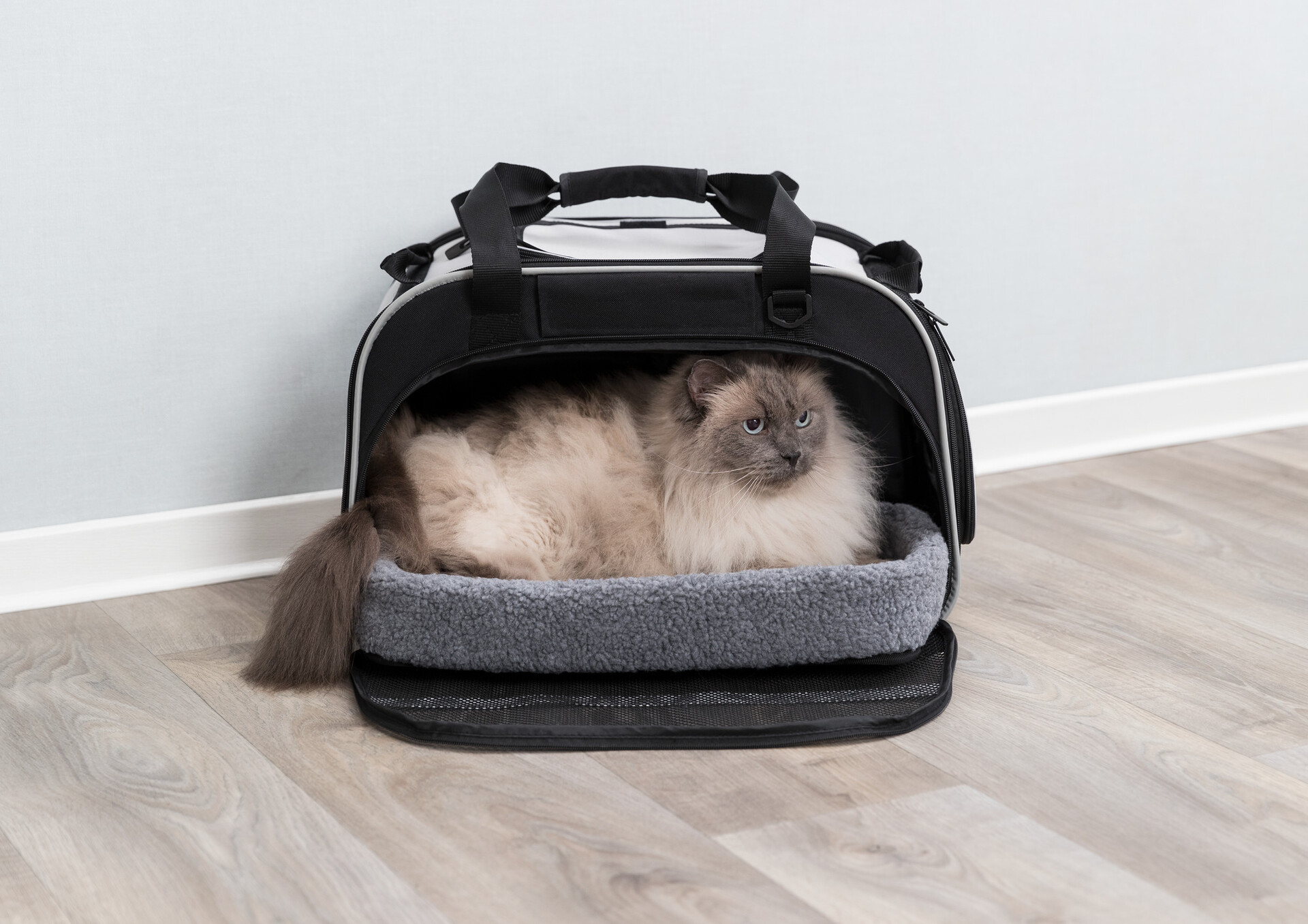 Wohn- & Transporttasche Valery bei leitermann.de günstig kaufen Wohn- & Transporttasche Valery