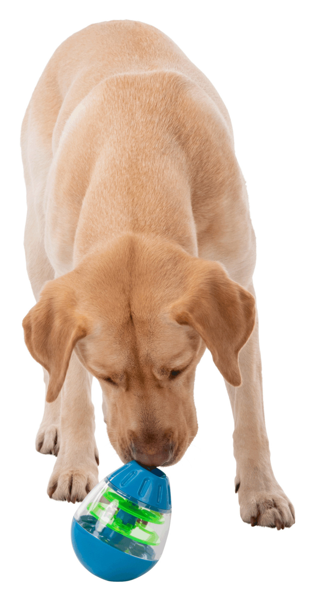 Steh-Auf-Snack-Ei Kunststoff 13cm bei leitermann.de günstig kaufen Steh-Auf-Snack-Ei Kunststoff 13cm