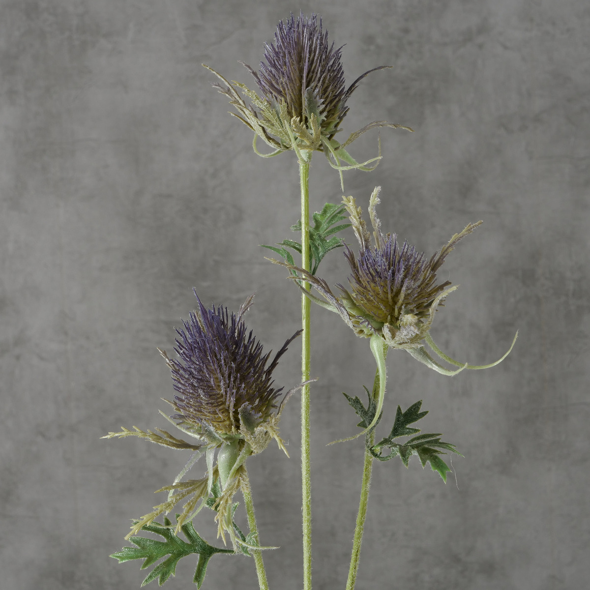 Dekozweig bei leitermann.de günstig kaufen Dekozweig