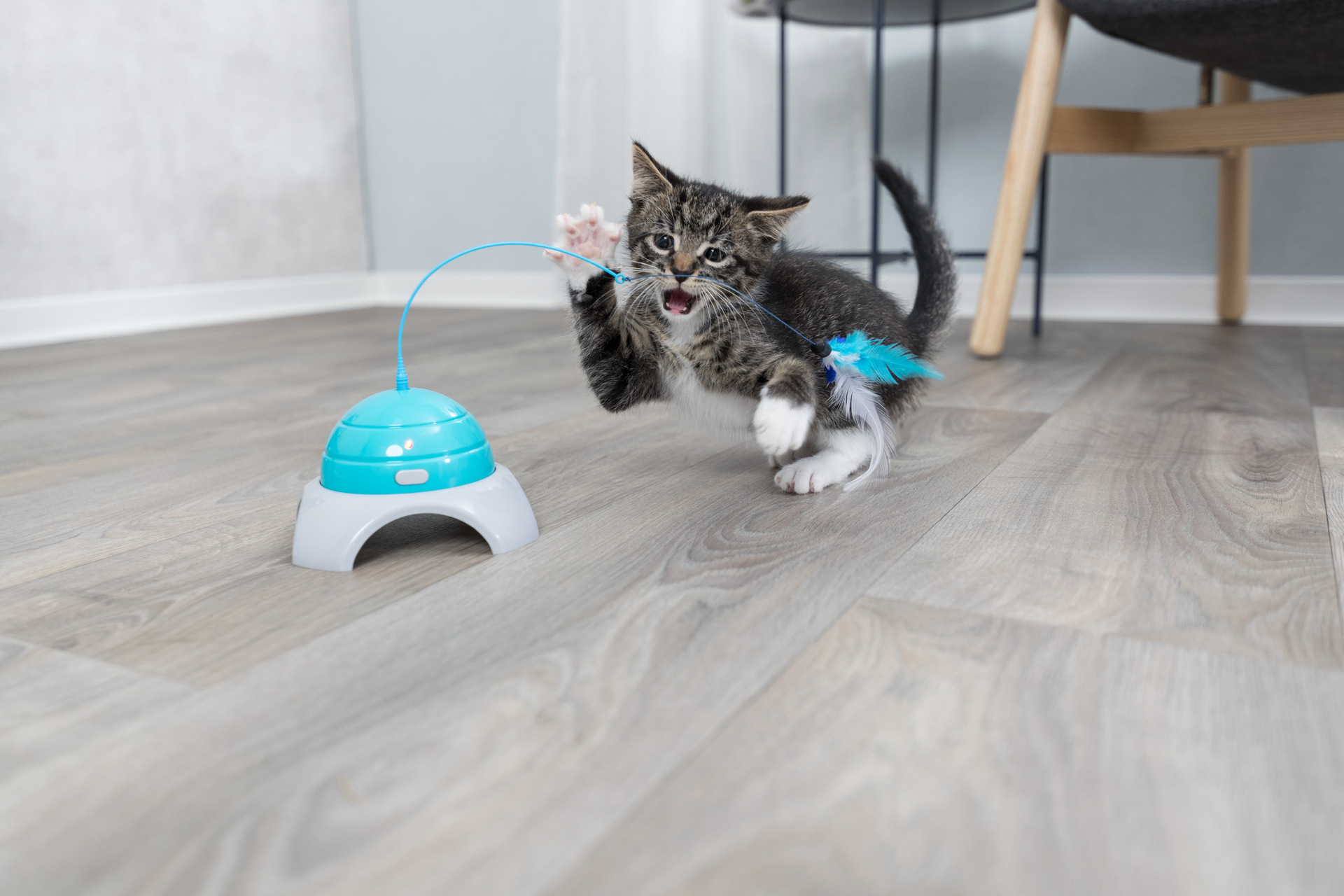 Catch Me mit Fernbedienung bei leitermann.de günstig kaufen Catch Me mit Fernbedienung