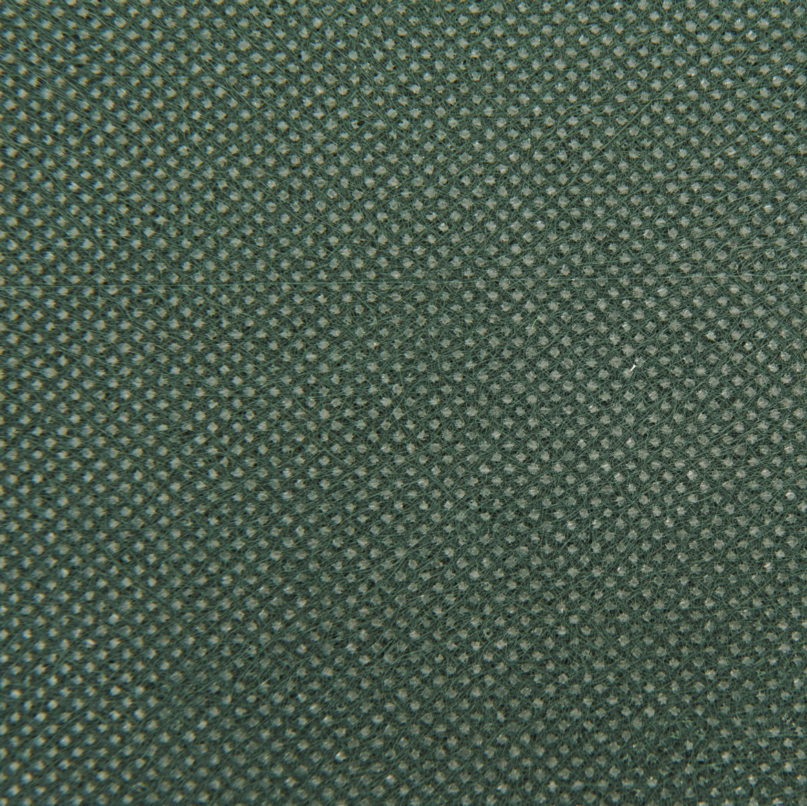 Winter-Rosenvlies-Haube