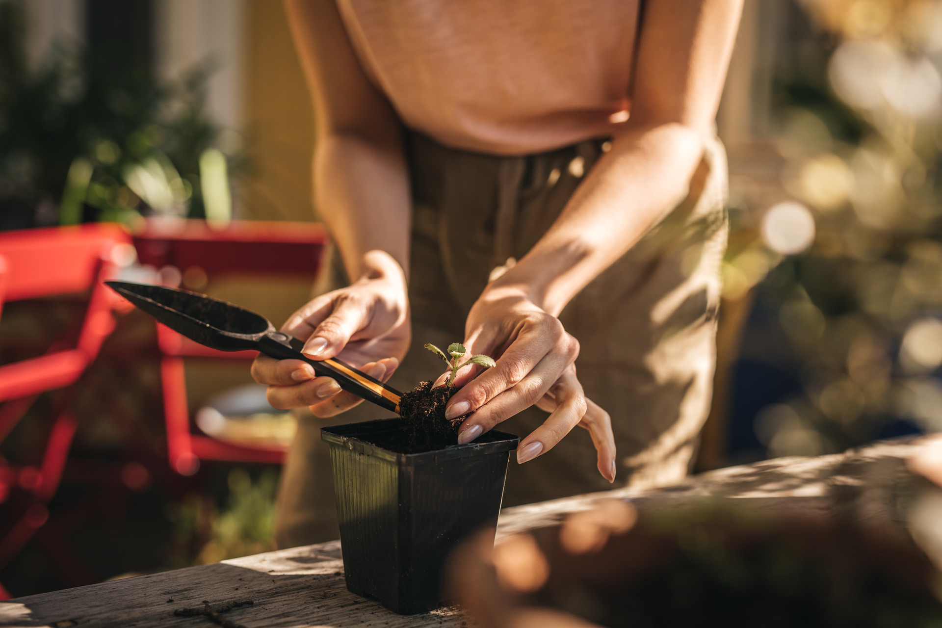 Solid Saatgut-Pflanzenkelle bei leitermann.de günstig kaufen Solid Saatgut-Pflanzenkelle