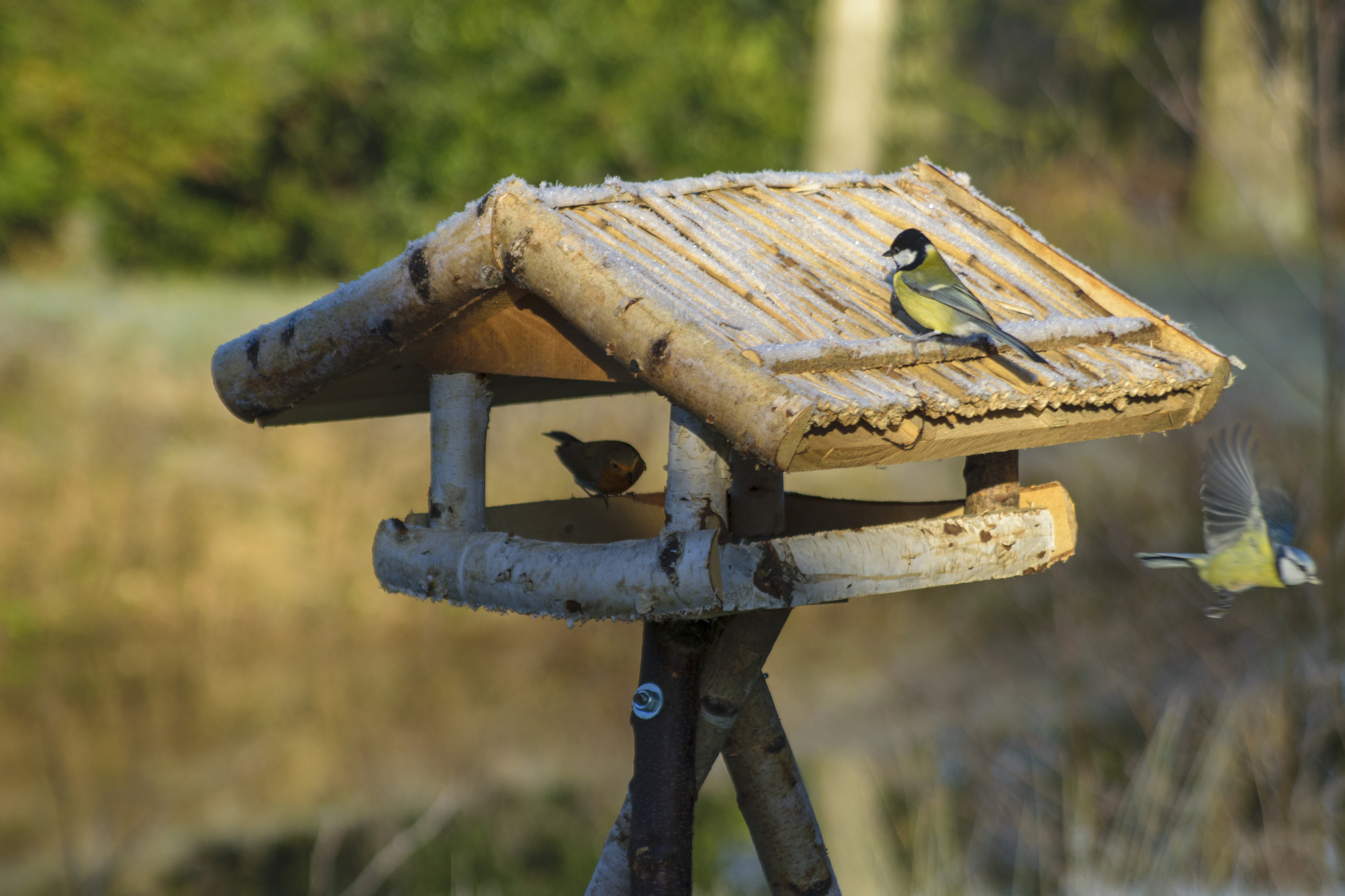 Vogelhaus Birke bei leitermann.de günstig kaufen Vogelhaus Birke