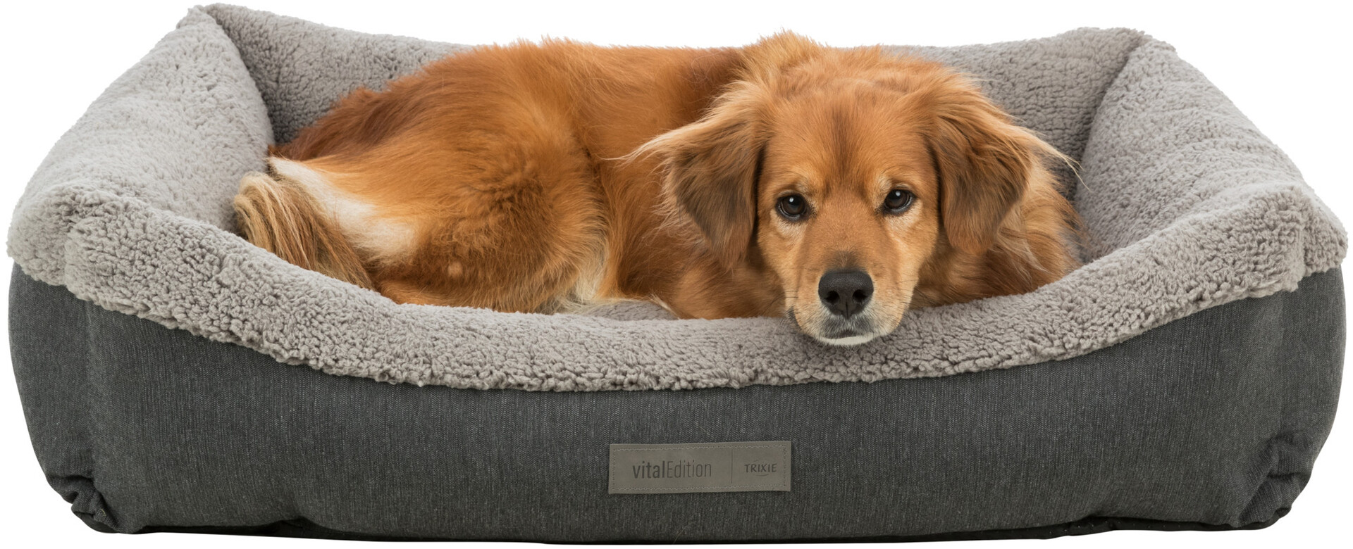 Vital Bett Bendson bei leitermann.de günstig kaufen Vital Bett Bendson