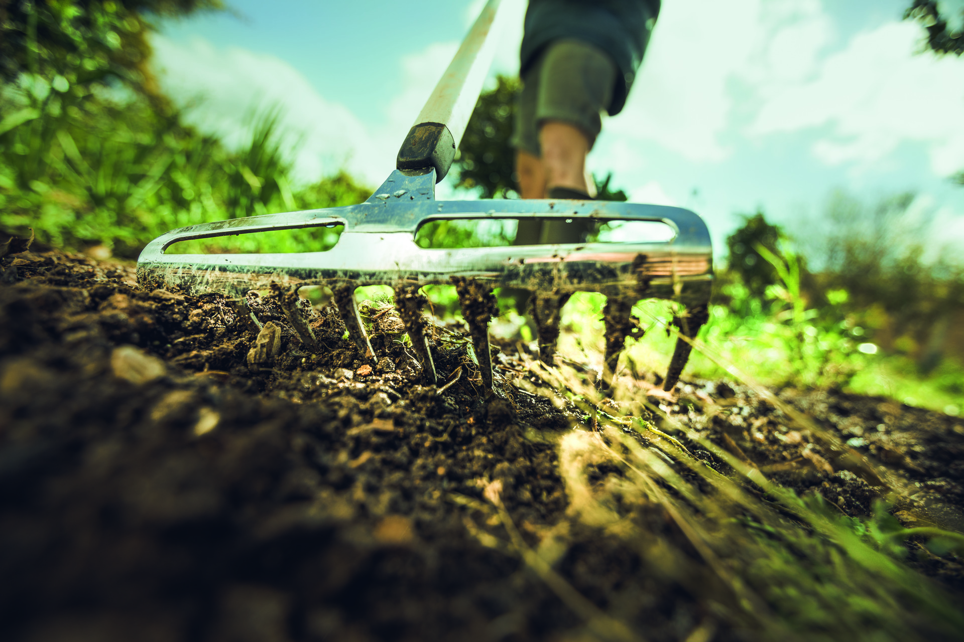 Xact Rosenrechen S bei leitermann.de günstig kaufen Xact Rosenrechen S