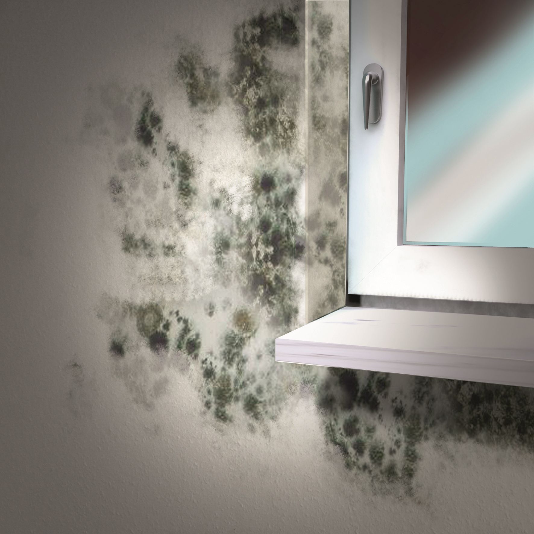 MEM Schimmel-Entferner bei leitermann.de günstig kaufen MEM Schimmel-Entferner