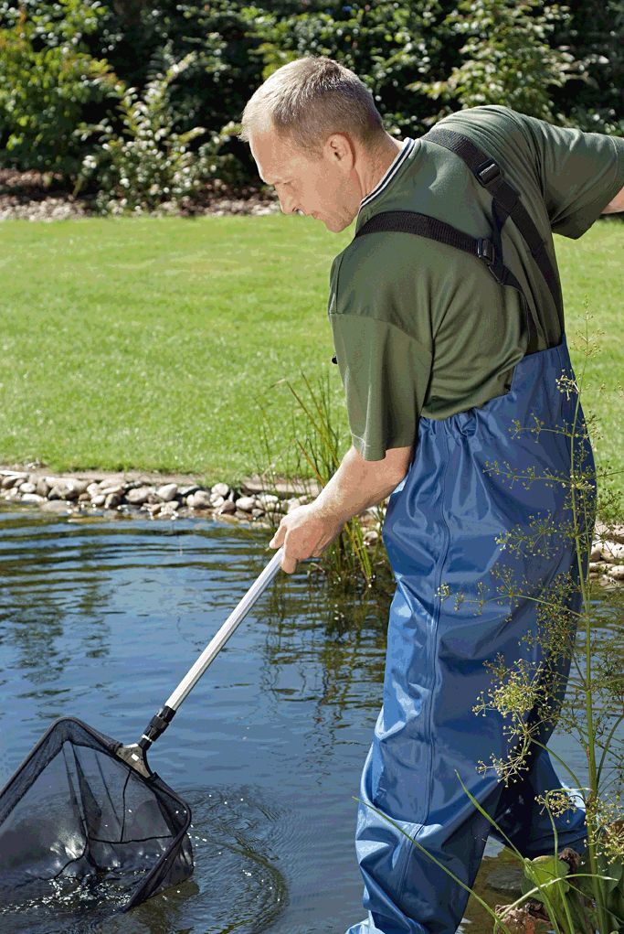 Profi Teichkescher bei leitermann.de günstig kaufen Profi Teichkescher