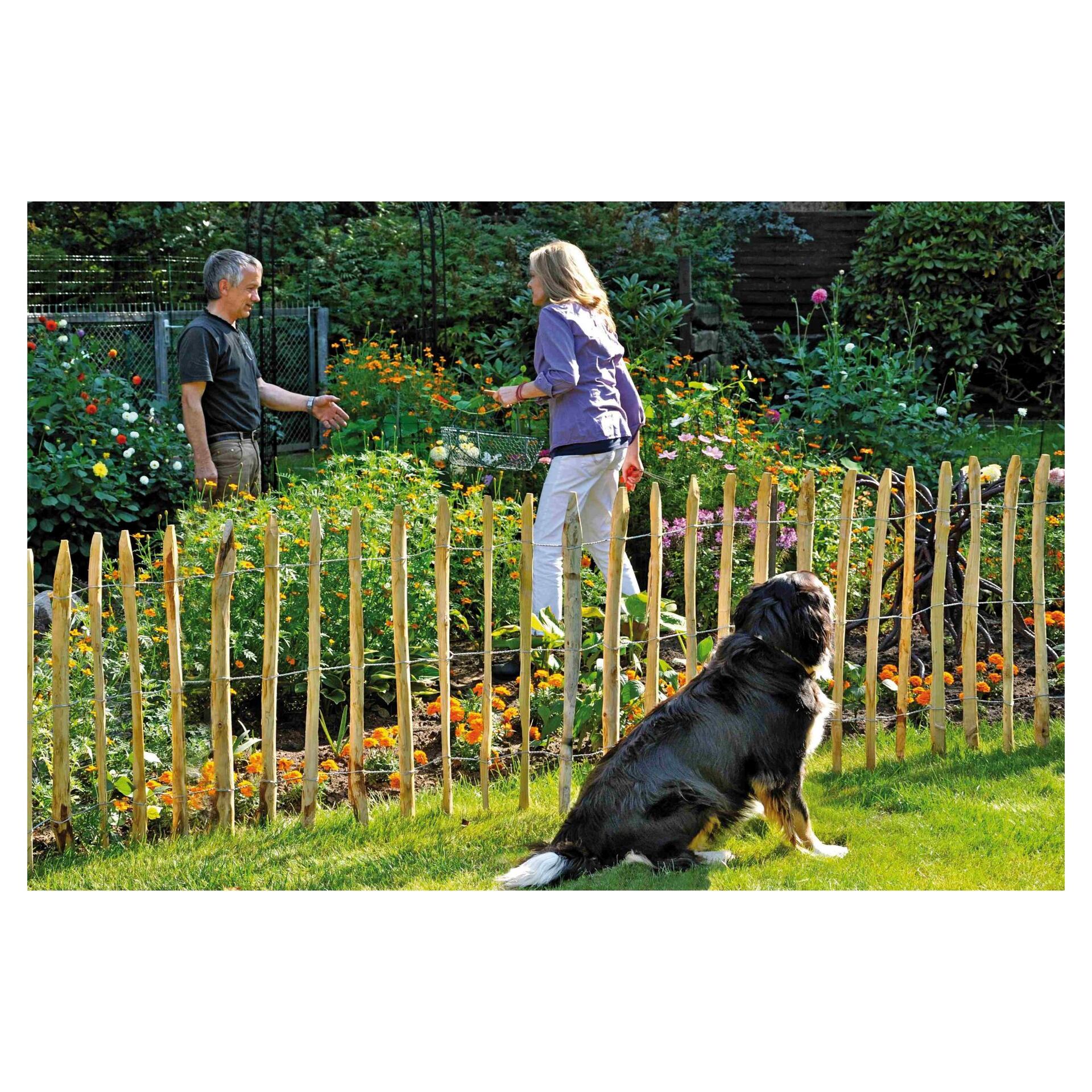 Sichtschutz Zaun-Set ROSWELL