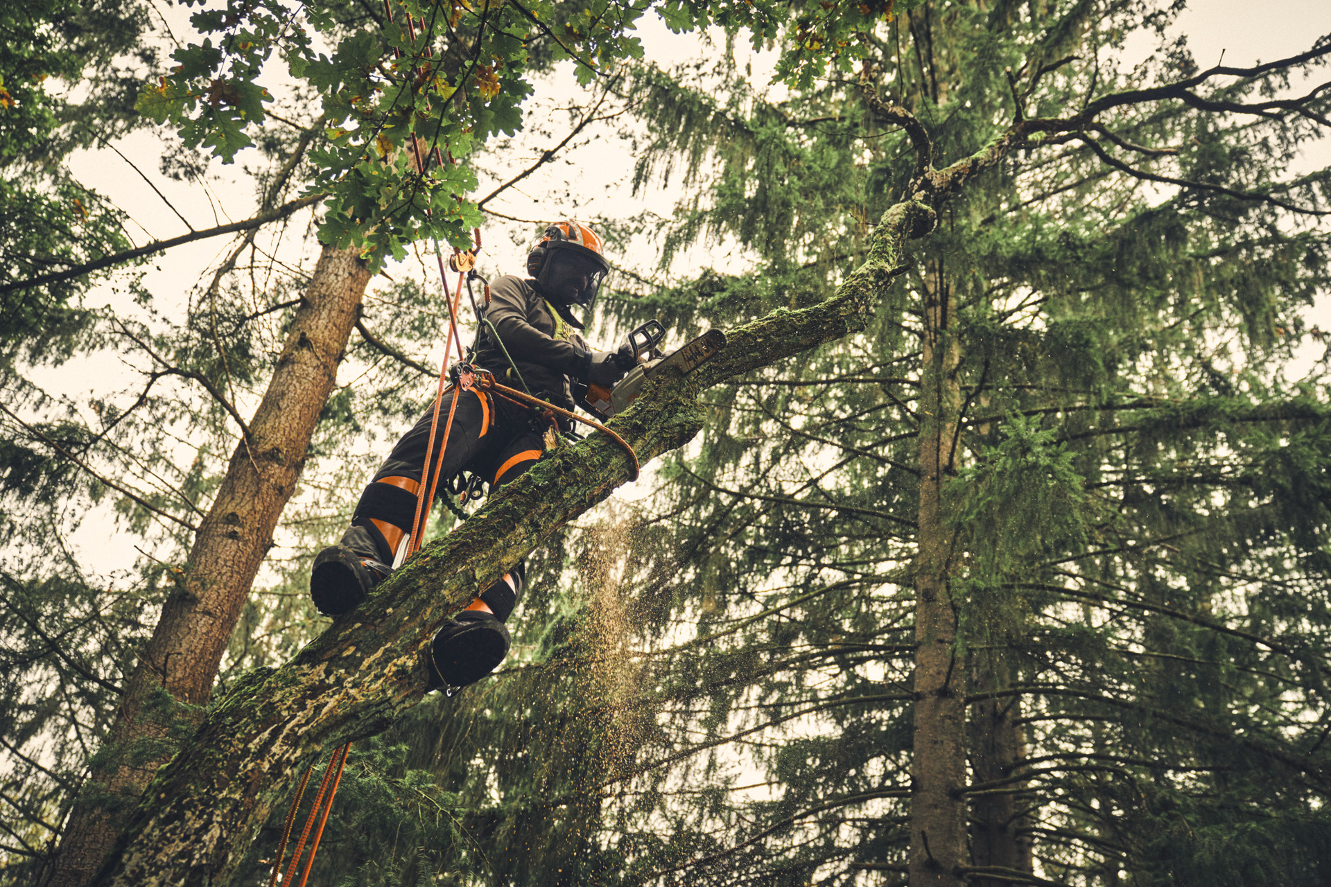 Akku-Kettensäge MSA 220