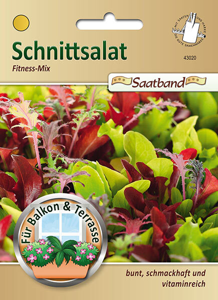 Schnittsalat - Fitness-Mix / Lactuca sativa