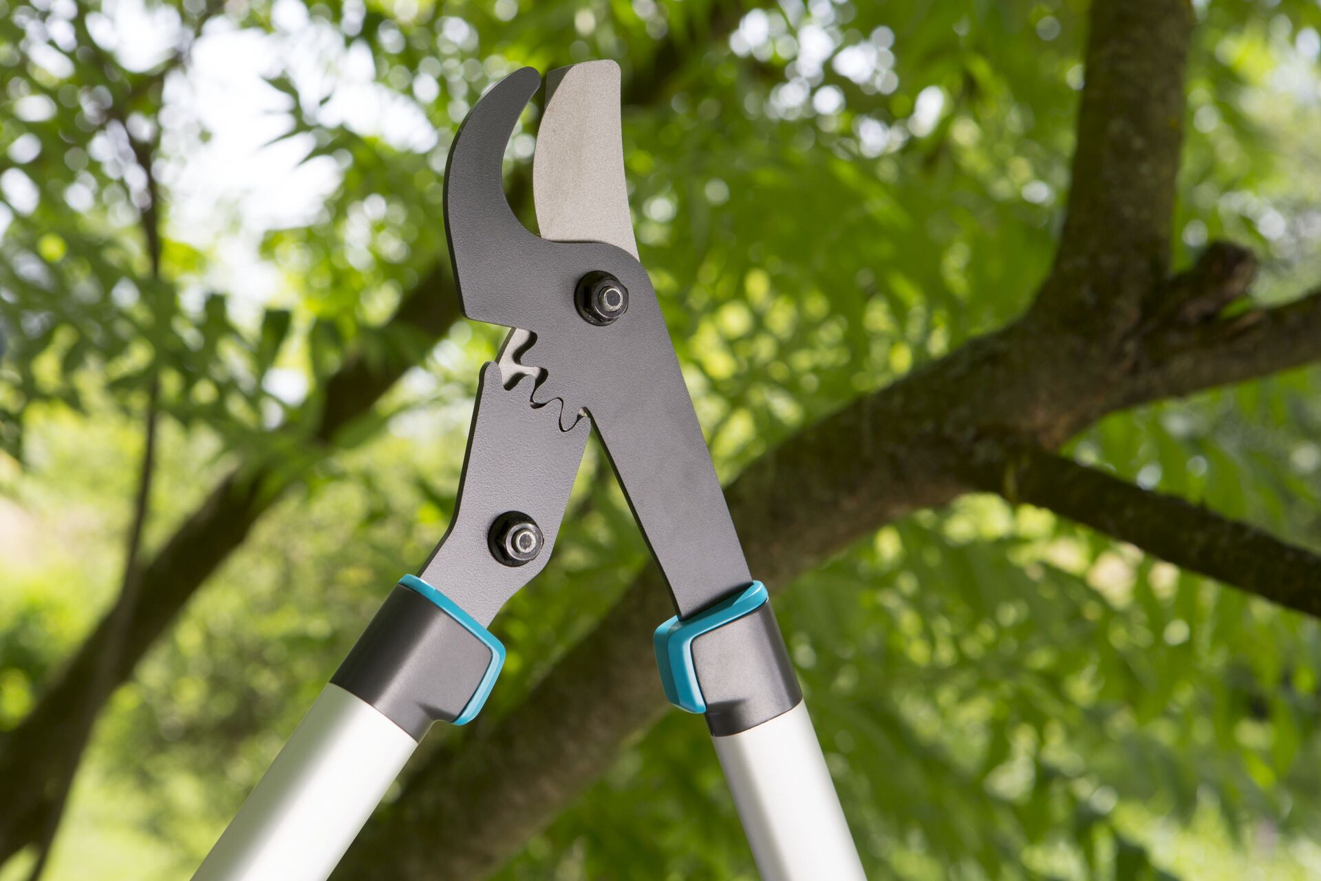 Astschere EnergyCut 750 B bei leitermann.de günstig kaufen Astschere EnergyCut 750 B