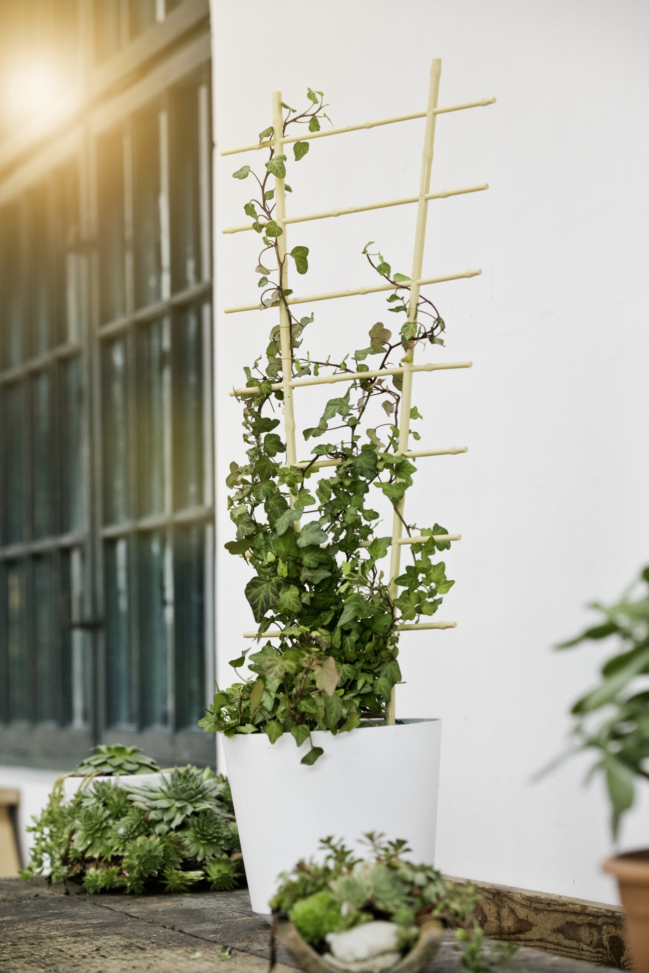 Blumenstütze Bambus