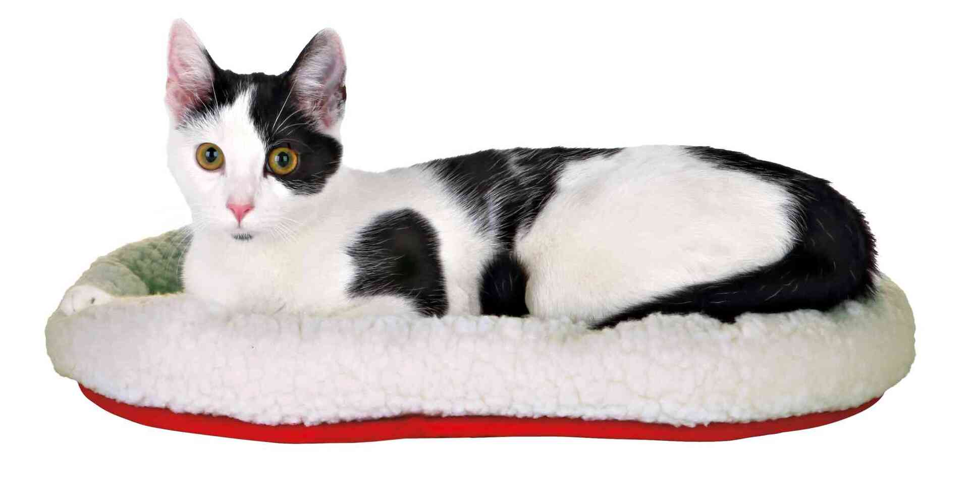 Kuschelbett, wendbar bei leitermann.de günstig kaufen Kuschelbett, wendbar