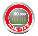 Sport und Spielrasen LG 250