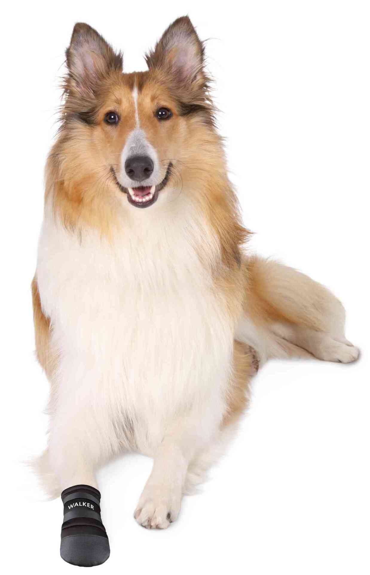 Pfotenschutz Walker Care